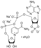 β-Nicotinamide adenine dinucleotide 2′:3′-cyclic monophosphate disodium salt hydrate