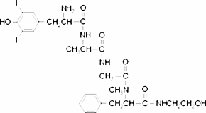 [3,5-diI-Tyr1, D-Ala2, N-Me-Phe4, Gly5-ol]-Enkephalin