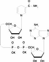 β-Nicotinamide adenine dinucleotide, reduced dipotassium salt