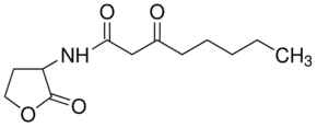 N-(3-Oxooctanoyl)-DL-homoserine lactone