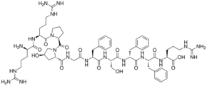 D-Arg-[Hyp3, D-Phe7]-Bradykinin