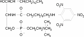 TNPAL-Sphingomyelin