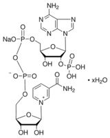 β-Nicotinamide adenine dinucleotide phosphate sodium salt