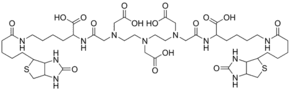 Diethylenetriaminepentaacetic acid α,ω-bis(biocytinamide)