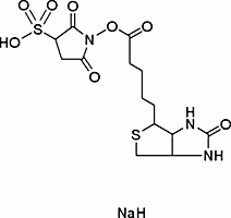Biotin 3-sulfo-N-hydroxysuccinimide ester sodium salt