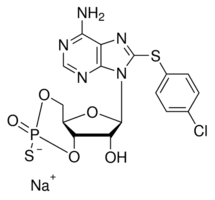 Sp-8-pCPT-cAMPS