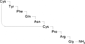 [Arg8]Vasopressin acetate
