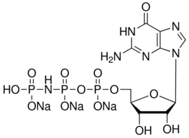 Guanosine 5′-[β,γ-imido]triphosphate trisodium salt hydrate
