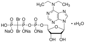 ARL 67156 trisodium salt hydrate