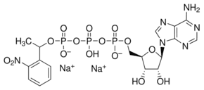 Adenosine 5′-triphosphate γ-(1-[2-nitrophenyl]ethyl) ester sodium salt