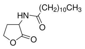 N-Dodecanoyl-DL-homoserine lactone