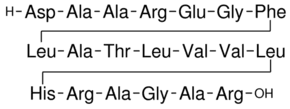 [Ala92]-Peptide 6