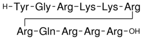 HIV-1 Tat Protein (47-57)