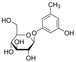 Sakakin