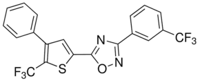SEW2871