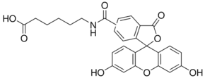 6-[Fluorescein-5(6)-carboxamido]hexanoic acid