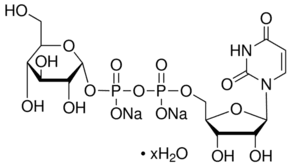 Uridine 5′-diphosphoglucose disodium salt hydrate from Saccharomyces cerevisiae
