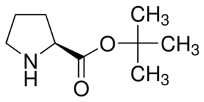 L-Proline t-butyl ester