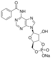 6-Bnz-cAMP sodium salt