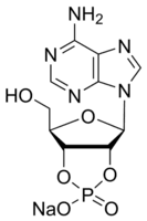 Adenosine 2′:3′-cyclic monophosphate sodium salt