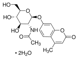 4-Methylumbelliferyl N-acetyl-β-D-glucosaminide