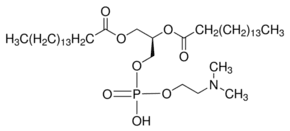 1,2-Dipalmitoyl-sn-glycero-3-phospho-N,N-dimethylethanolamine