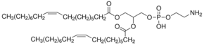 1,2-Dioleoyl-sn-glycero-3-phosphoethanolamine