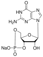 Guanosine 3′,5′-cyclic monophosphate sodium salt