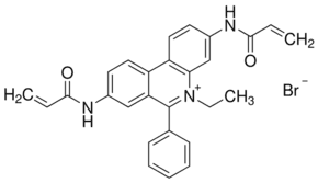 Ethidium bromide-N,N′-bisacrylamide