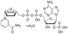 β-Nicotinamide adenine dinucleotide phosphate hydrate