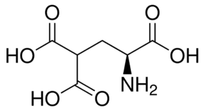 γ-Carboxy-L-glutamic acid