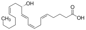 12(S)-Hydroxy-(5Z,8Z,10E,14Z)-eicosatetraenoic acid