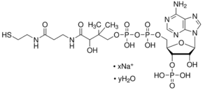 Coenzyme A sodium salt hydrate