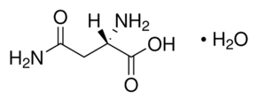 L-Asparagine monohydrate
