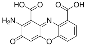 Cinnabarinic Acid