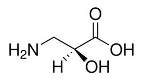 L-Isoserine