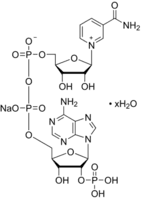 β-Nicotinamide adenine dinucleotide phosphate sodium salt hydrate