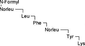 N-Formyl-Nle-Leu-Phe-Nle-Tyr-Lys