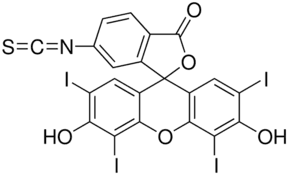 Erythrosin B isothiocyanate, isomer II