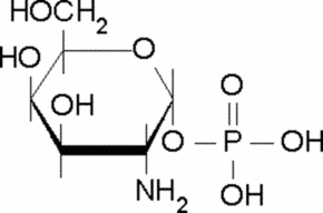 α-D-Galactosamine 1-phosphate