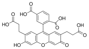 2′,7′-Bis(2-carboxyethyl)-5(6)-carboxyfluorescein