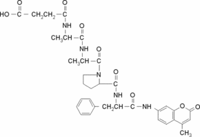 N-Succinyl-Ala-Ala-Pro-Phe-7-amido-4-methylcoumarin
