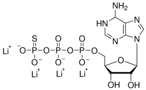 Adenosine 5′-[γ-thio]triphosphate tetralithium salt