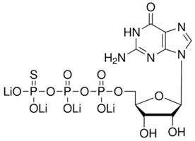 Guanosine 5′-[γ-thio]triphosphate tetralithium salt