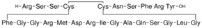 Atrial Natriuretic Peptide fragment 4-28 human