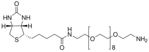 O-(2-Aminoethyl)-O′-[2-(biotinylamino)ethyl]octaethylene glycol