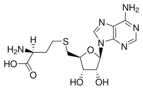 S-(5′-Adenosyl)-L-homocysteine