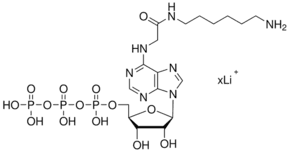 N6-([6-Aminohexyl]carbamoylmethyl)adenosine 5′-triphosphate lithium salt