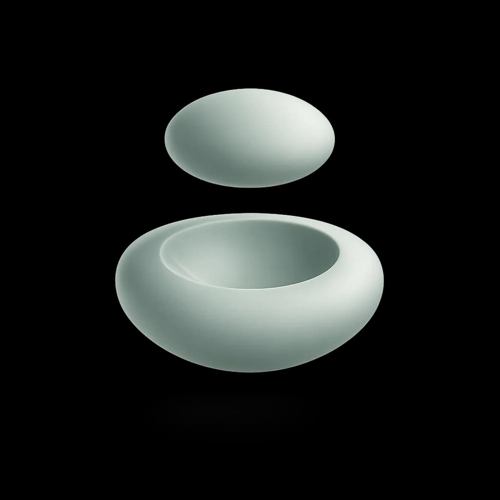 Two complementary ceramic forms, cavity and key, representing enzymes, inhibitors and substrates