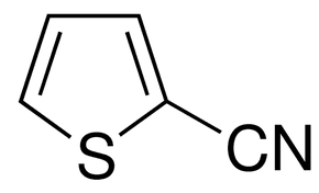 2-Thiophenecarbonitrile